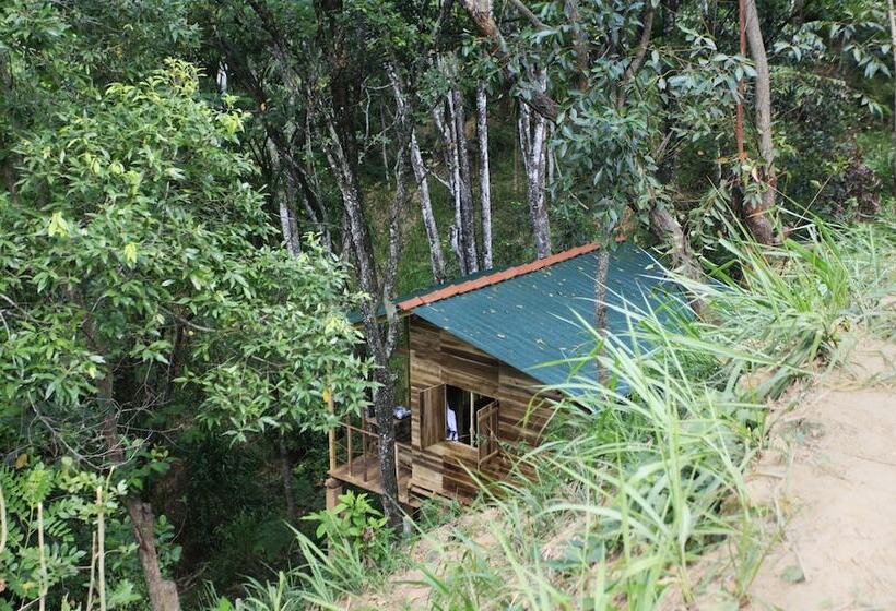 Ella Eco Lodge