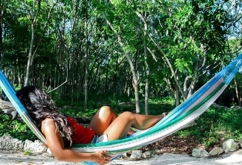 هتل Akumal Natura Glamping