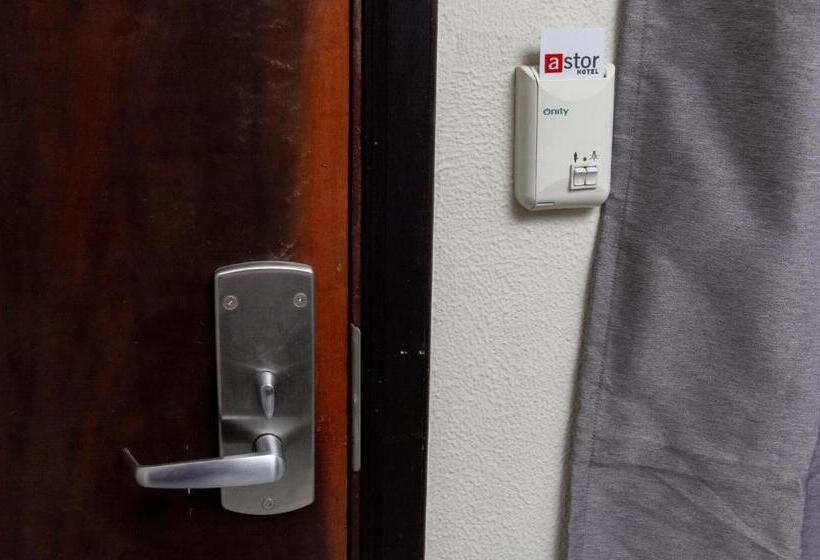 בית מלון כפרי Astor