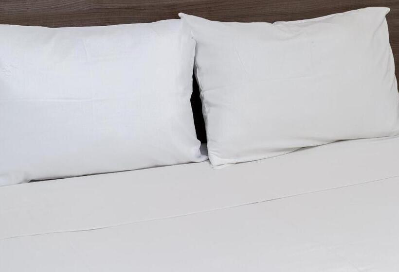 בית מלון כפרי Astor