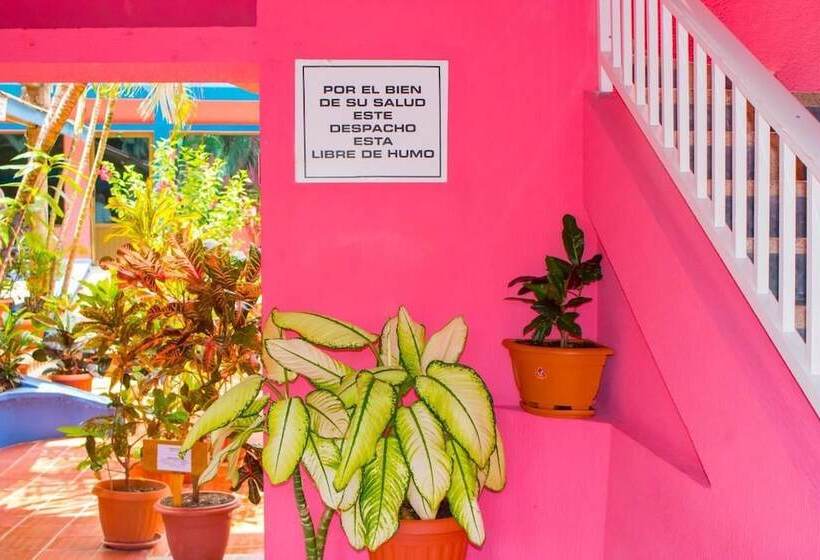 酒店 Cabañas El Encanto