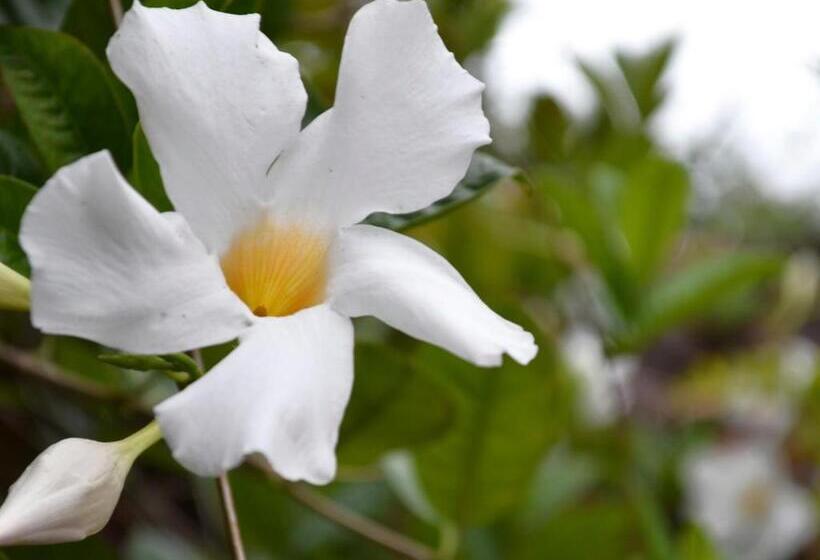 호텔 Campestre Umpala