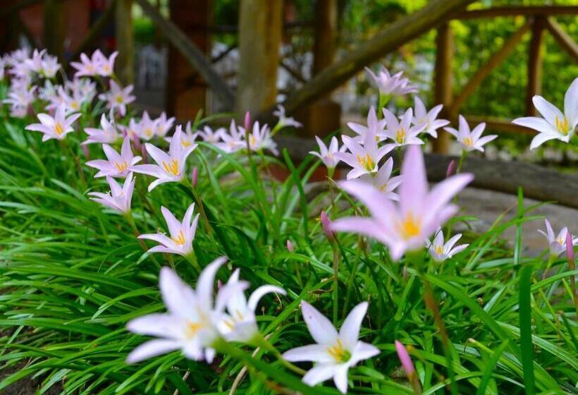 호텔 Campestre Umpala