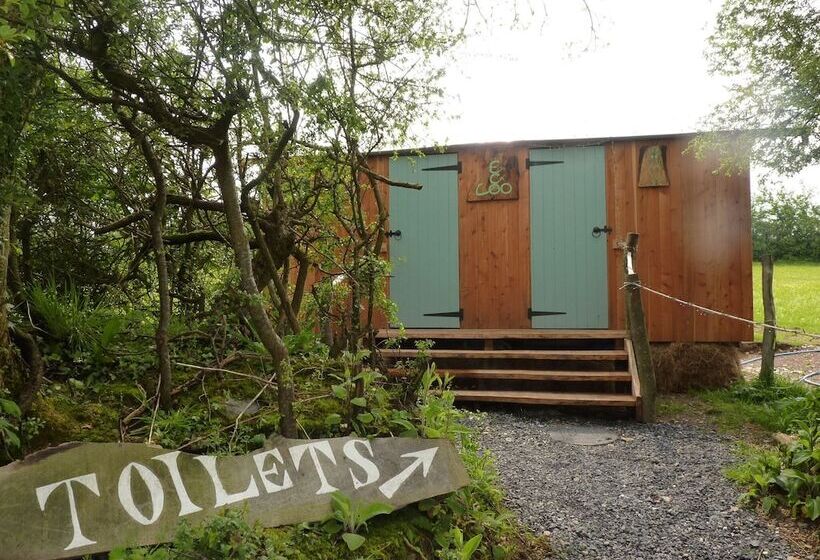 Отель Ceridwen Glamping, Double Decker Bus And Yurts