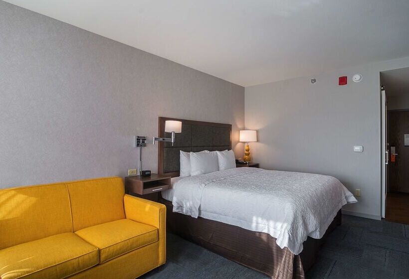 בית מלון כפרי Hampton Inn Chicago North-loyola Station