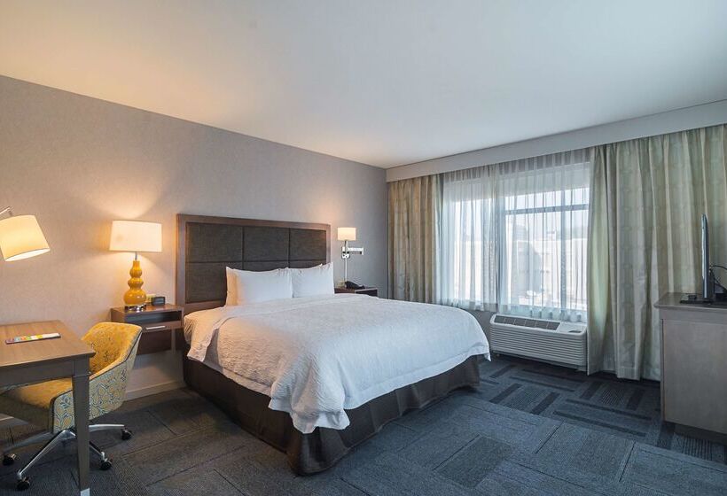 בית מלון כפרי Hampton Inn Chicago North-loyola Station