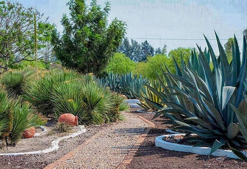 فندق Hampton Inn & Suites By Hilton Salamanca Bajio