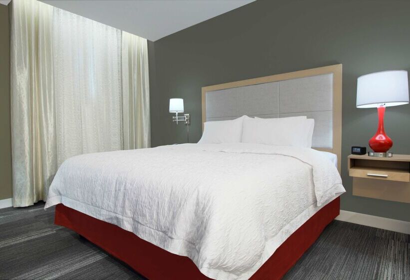 בית מלון כפרי Hampton Inn Kansas City/downtown Financial District