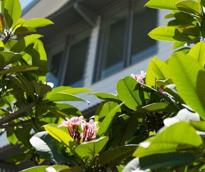 Heart Hotel And Gallery Whitsundays