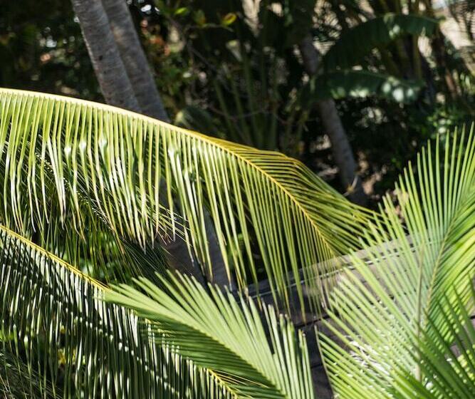 Heart Hotel And Gallery Whitsundays