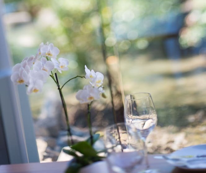 Heart Hotel And Gallery Whitsundays