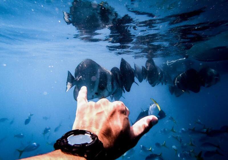 Heart Hotel And Gallery Whitsundays