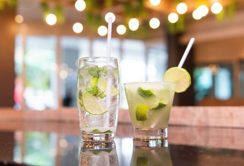 酒店 Ibis Porto Alegre Moinhos De Vento