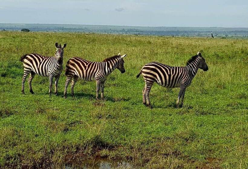 ホテル Ibis Styles Nairobi Westlands