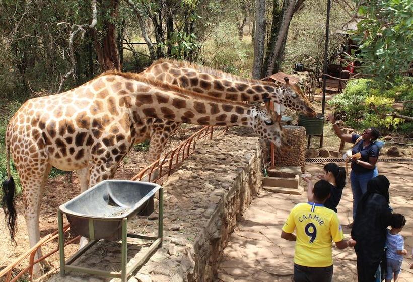 ホテル Ibis Styles Nairobi Westlands