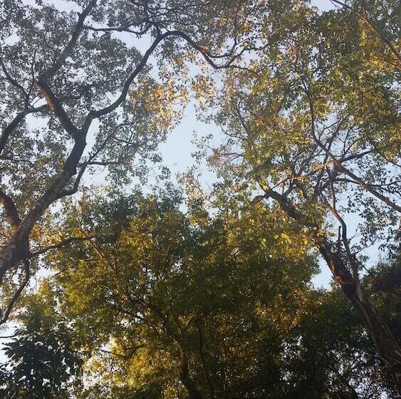 Kelta Hotel Puerto Iguazu