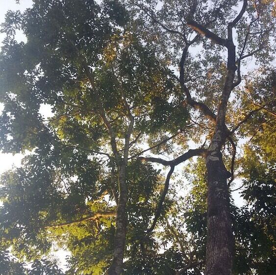 Kelta Hotel Puerto Iguazu