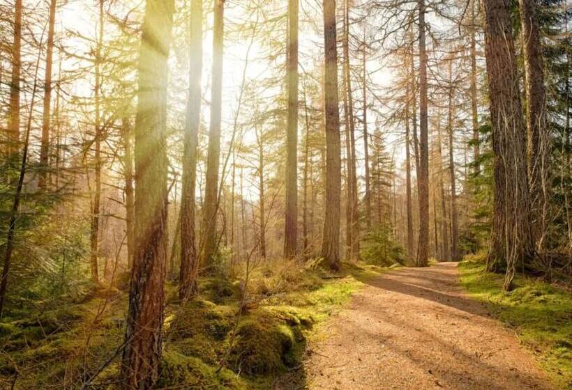 Отель Loch Ness Lodge