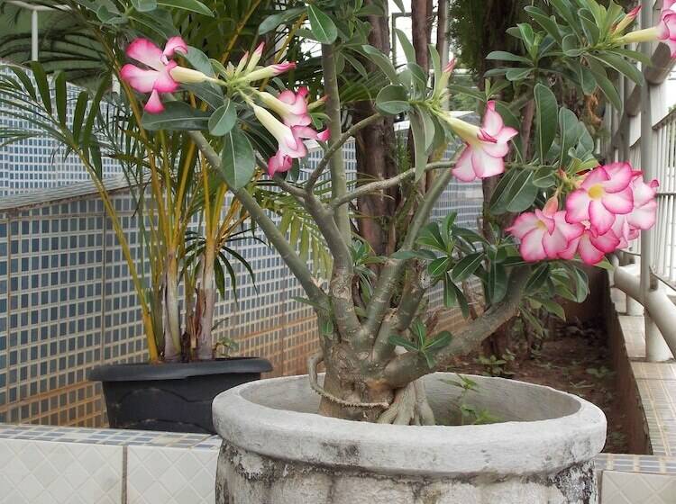 فندق Los Angeles