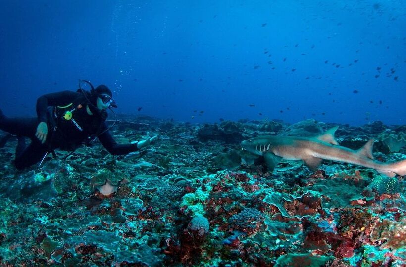 בית מלון כפרי Menjangan Dynasty Resort