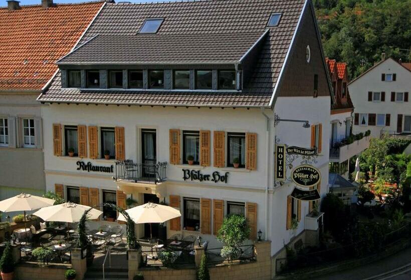 ホテル Pfälzer Hof