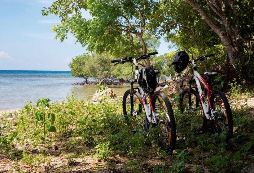 ホテル Plataran Menjangan Resort And Spa   Chse Certified