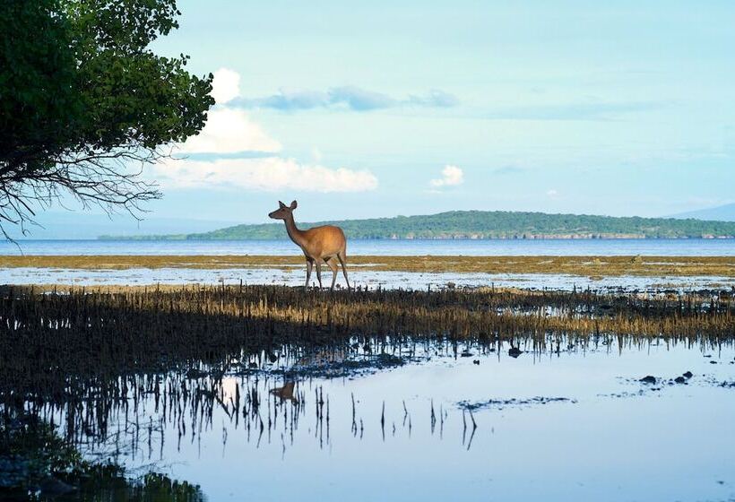 בית מלון כפרי Plataran Menjangan Resort And Spa   Chse Certified