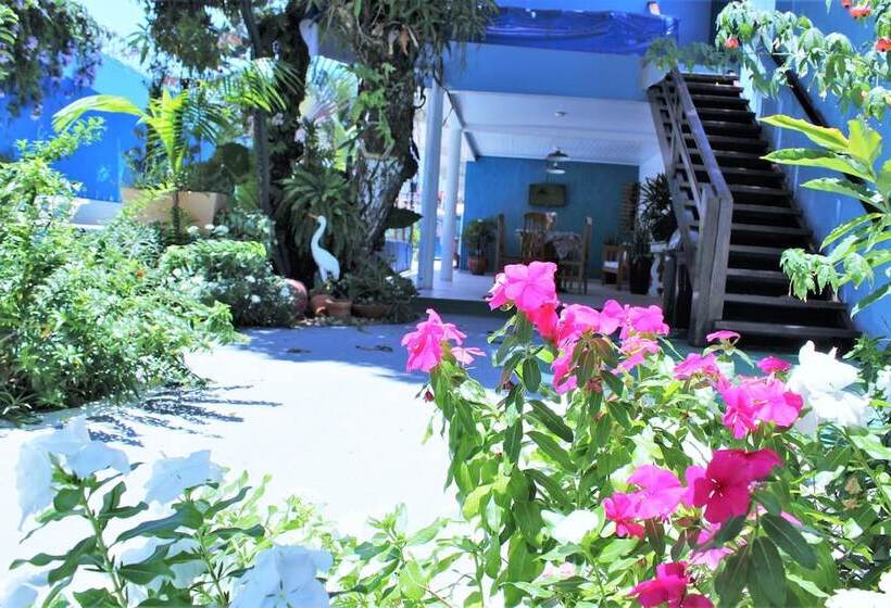 Отель Porto Bahia