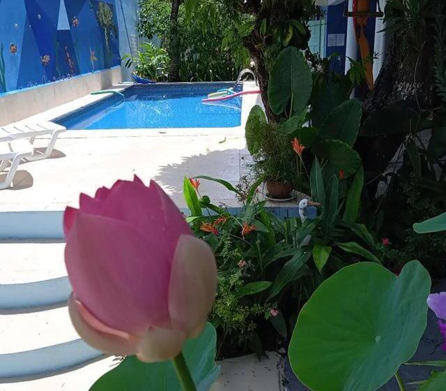 Отель Porto Bahia