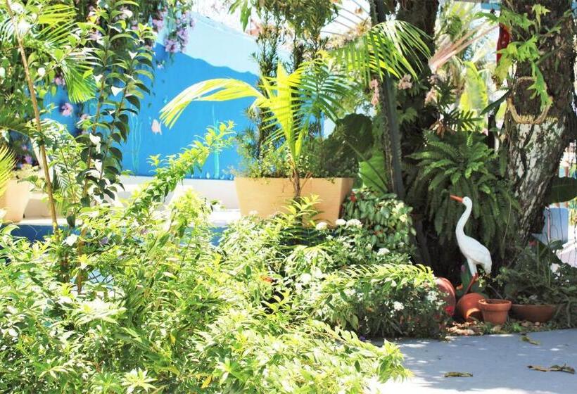 Отель Porto Bahia