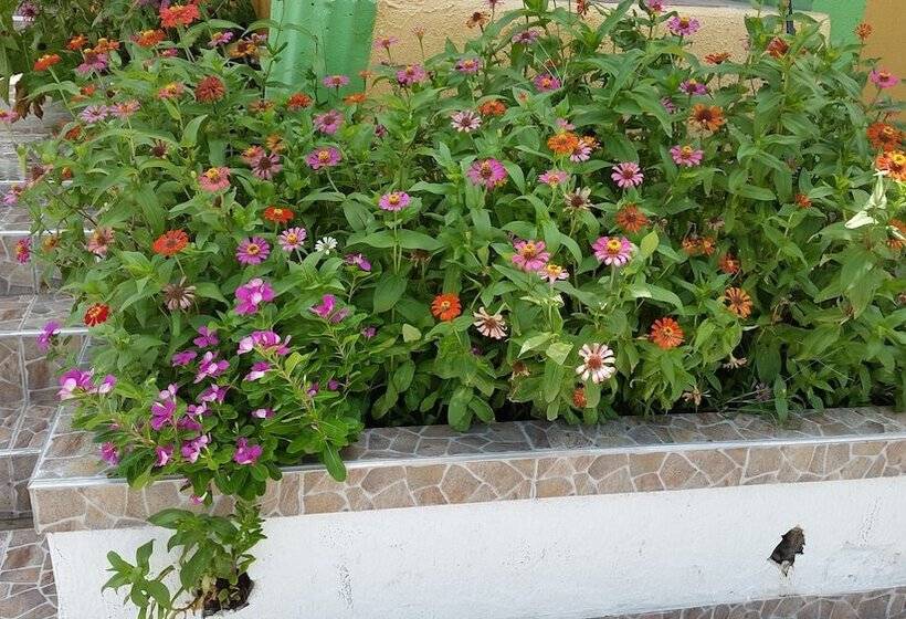 هتل Posada Enilda