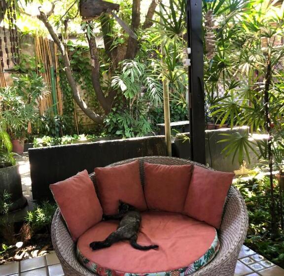 Отель Pousada Casuarinas