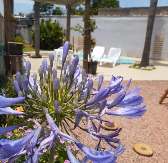 בית מלון כפרי Pousada Terra Sul