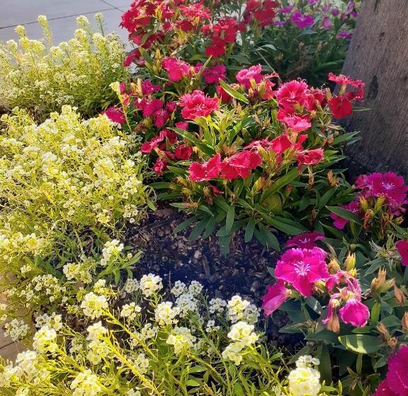 בית מלון כפרי Pousada Terra Sul