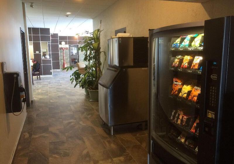 فندق Rodeway Inn