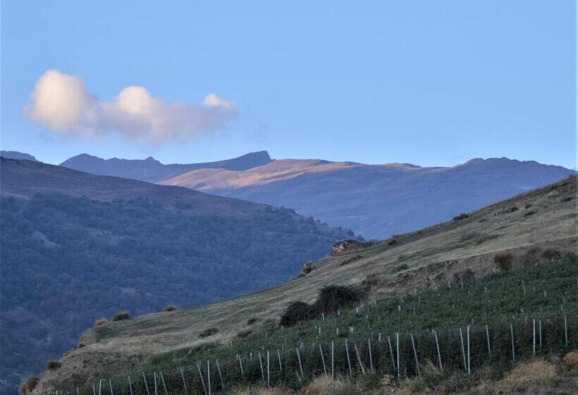 فندق ريفى Rural Alfajía De Antonio