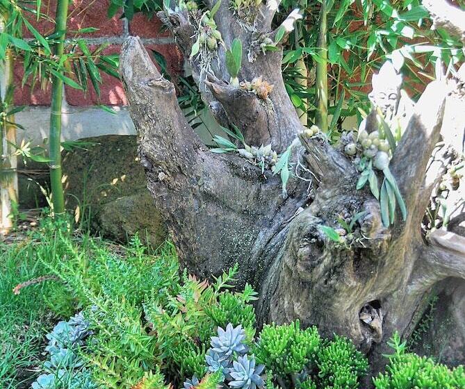 فندق Sandunga Cabañas Boutique