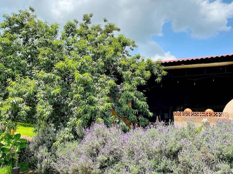 Отель Sandunga Cabañas Boutique