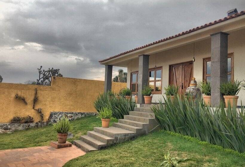 Отель Sandunga Cabañas Boutique