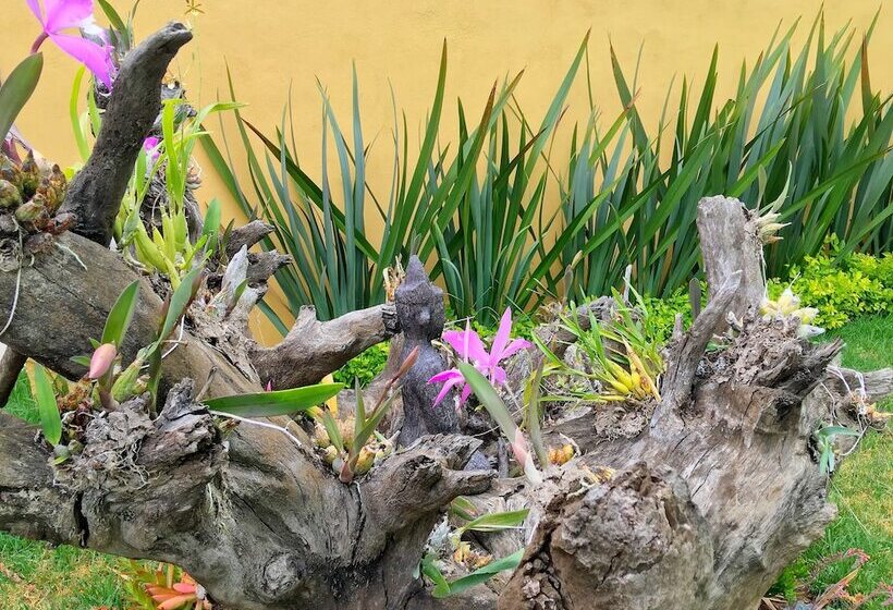 Отель Sandunga Cabañas Boutique