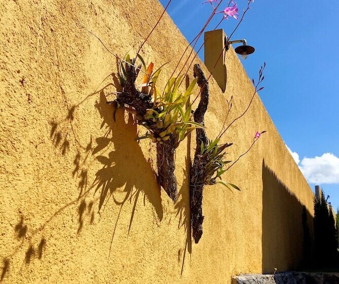 Отель Sandunga Cabañas Boutique