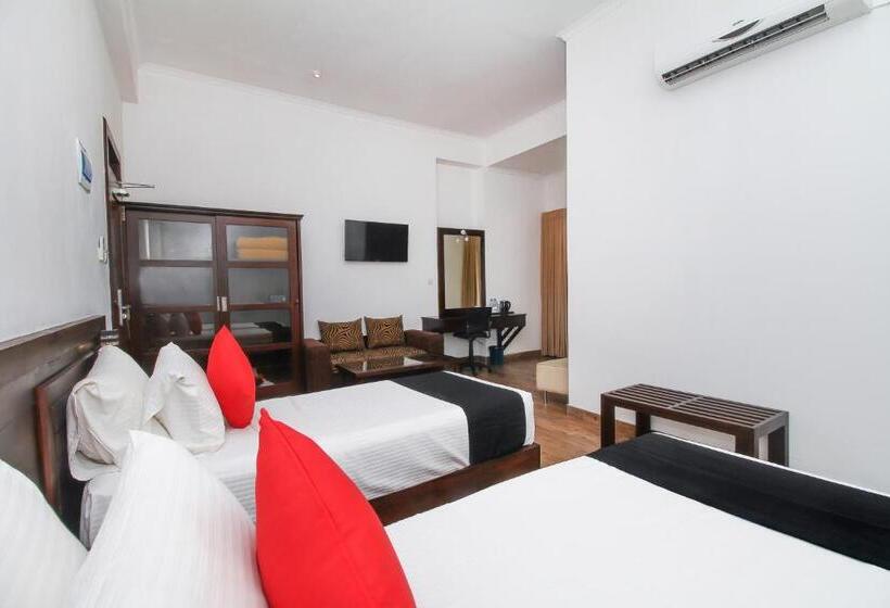 酒店 Sasha Transit