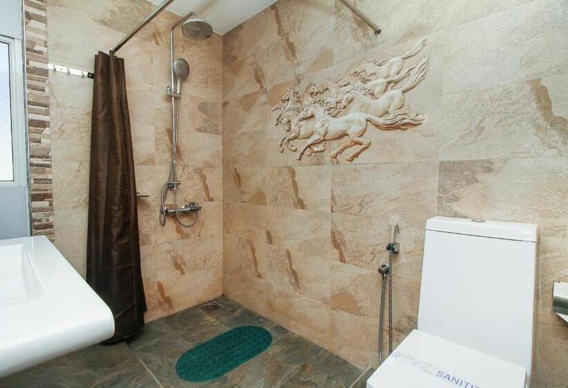 酒店 Sasha Transit