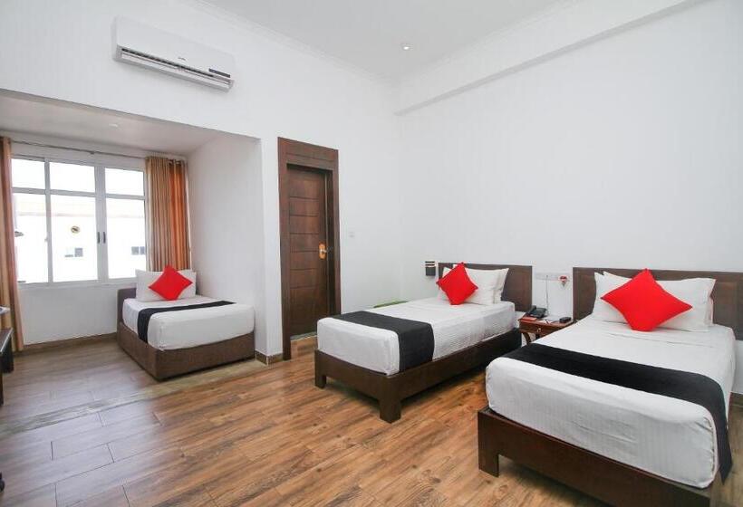 酒店 Sasha Transit