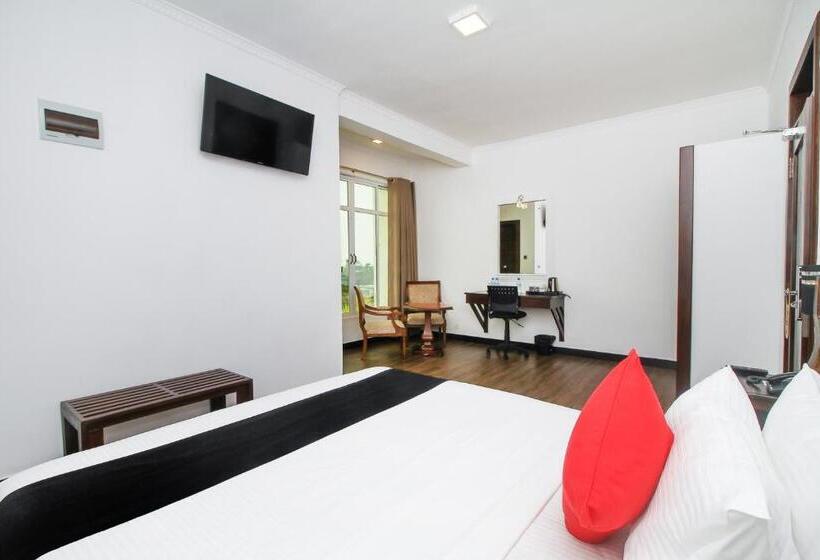 酒店 Sasha Transit