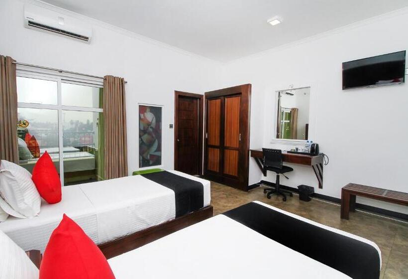 酒店 Sasha Transit