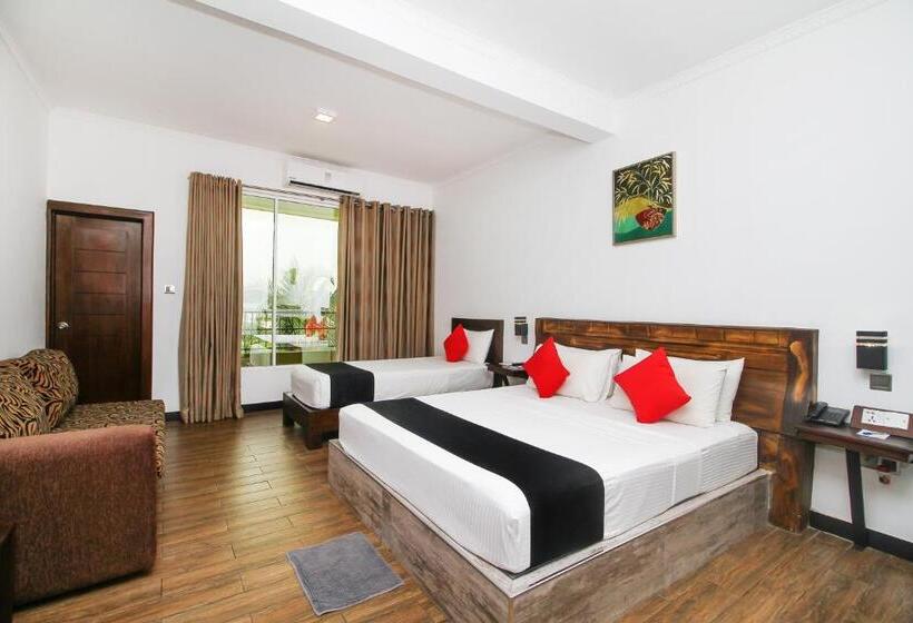 酒店 Sasha Transit