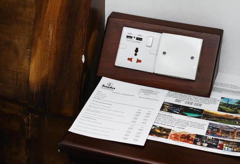 酒店 Sasha Transit