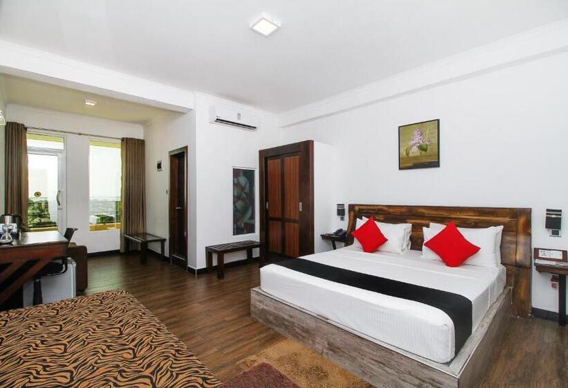 酒店 Sasha Transit