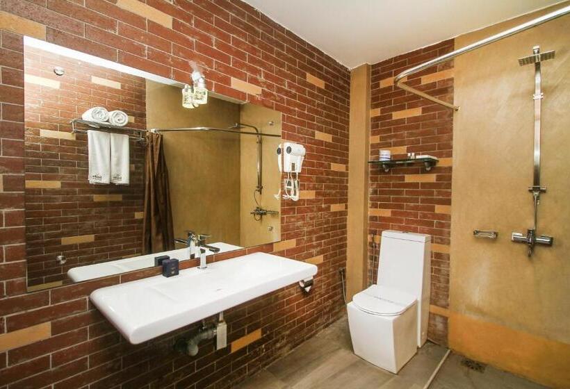 酒店 Sasha Transit